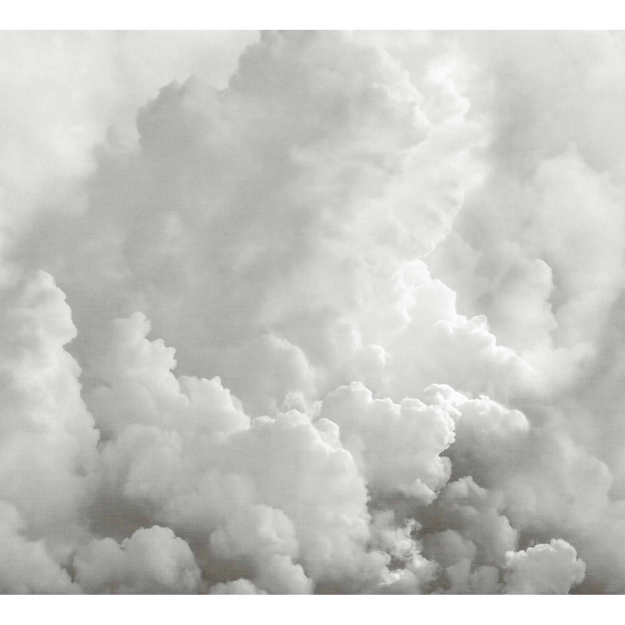 Katie Hunt Dove Gray In the Clouds Wall Mural